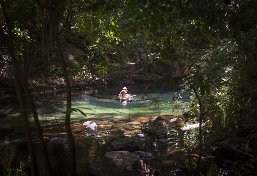 Rio Perdido Hotel & Thermal River