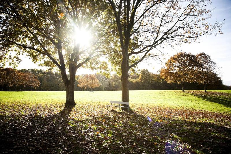 ホテル Skanderborg Park