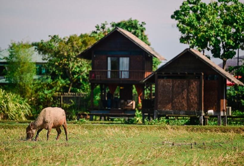 Отель The Gemalai Village
