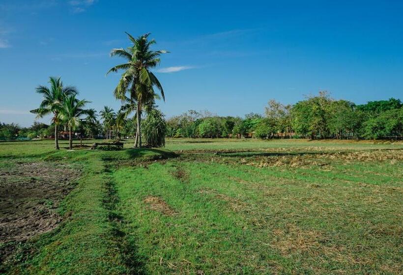 Отель The Gemalai Village