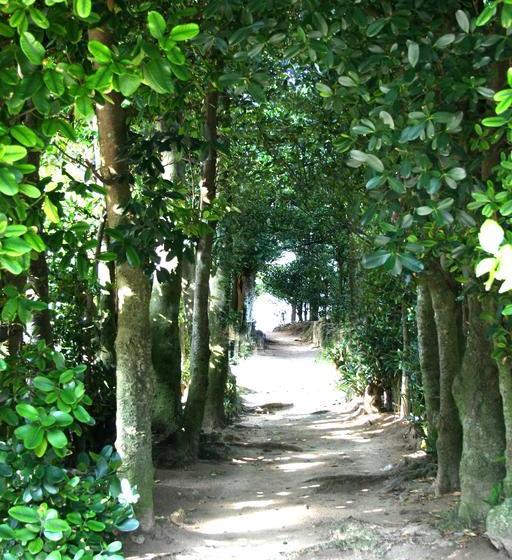 ホテル Yugaf Inn Bise