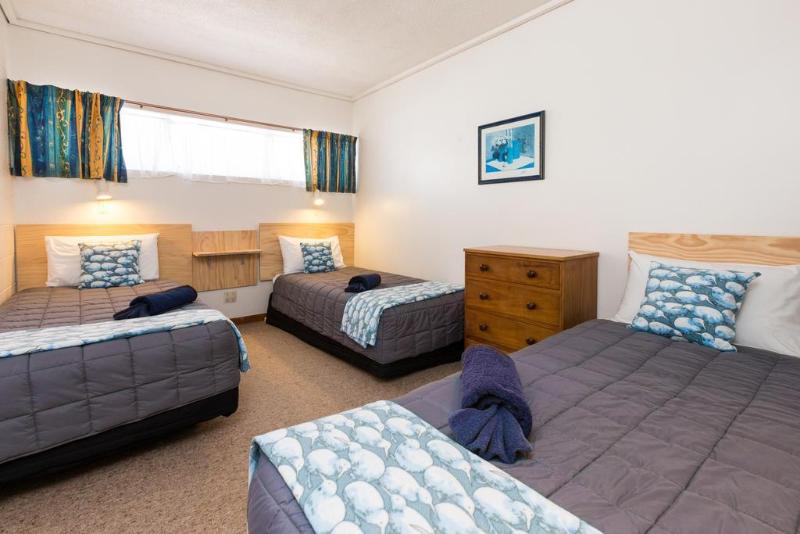 汽车旅馆  Alpha Motor Inn