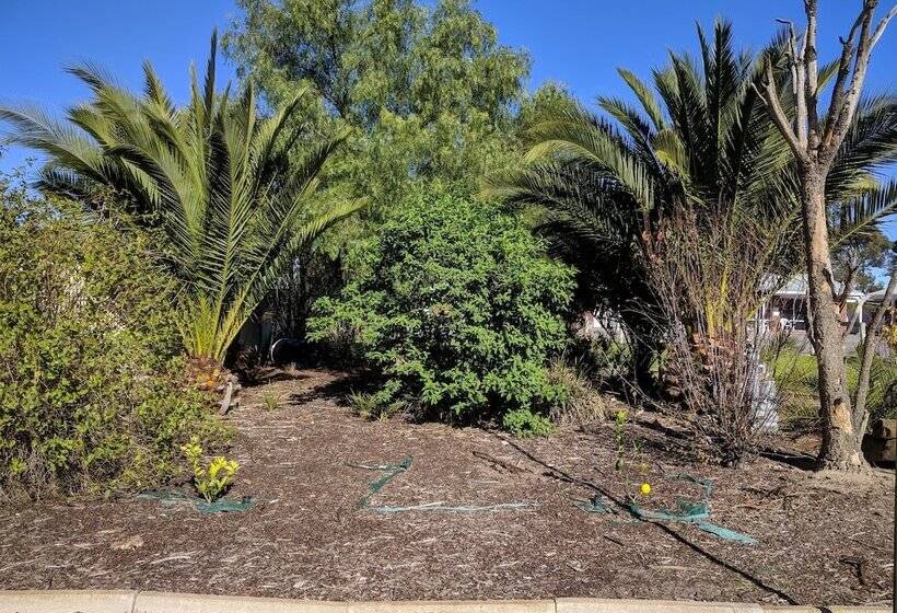 מוטל Travellers Inn Kaniva