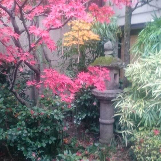 ペンション Tsubakiso