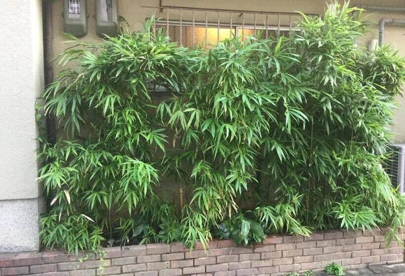 ペンション Tsubakiso