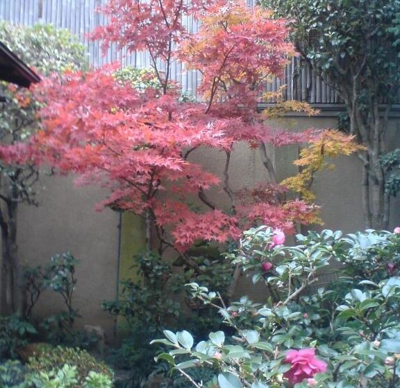 ペンション Tsubakiso