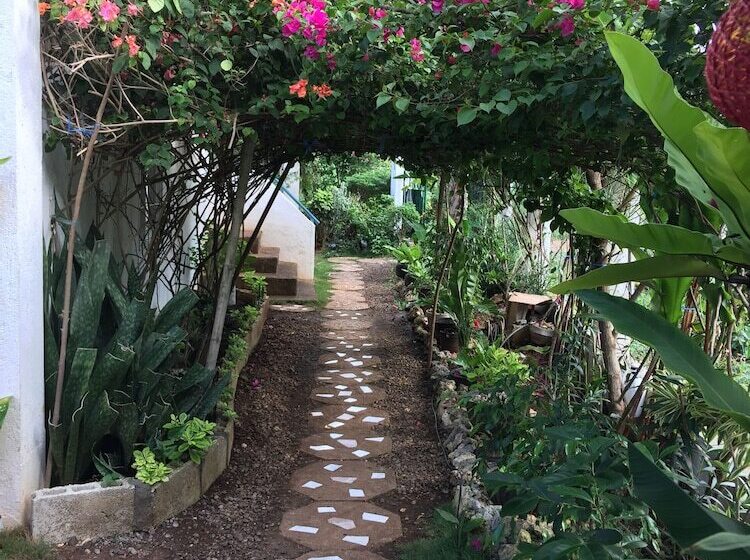 Курорт Acacia Sunset Village Inn