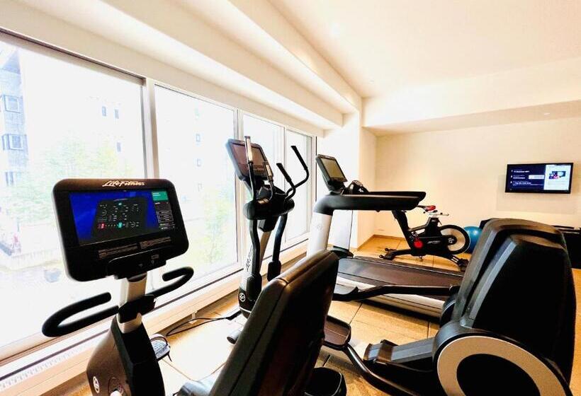 리조트 Chatrium Niseko Japón