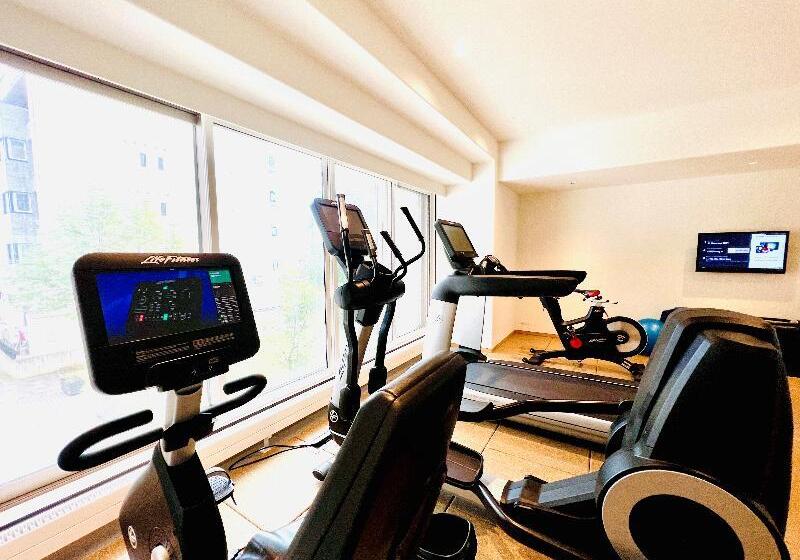 리조트 Chatrium Niseko Japón