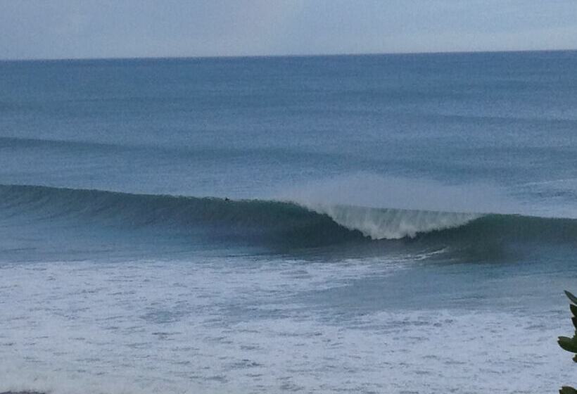 Split Point Cottages