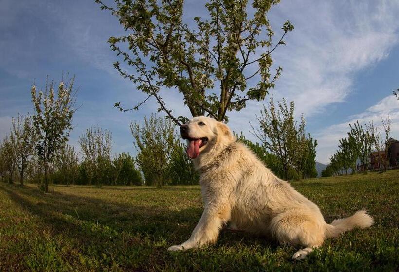 Tenuta Terre Dei Latini