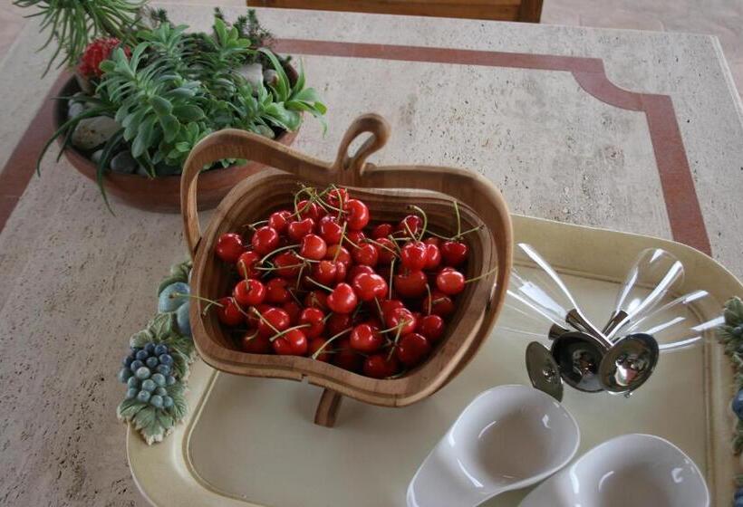 Tenuta Terre Dei Latini