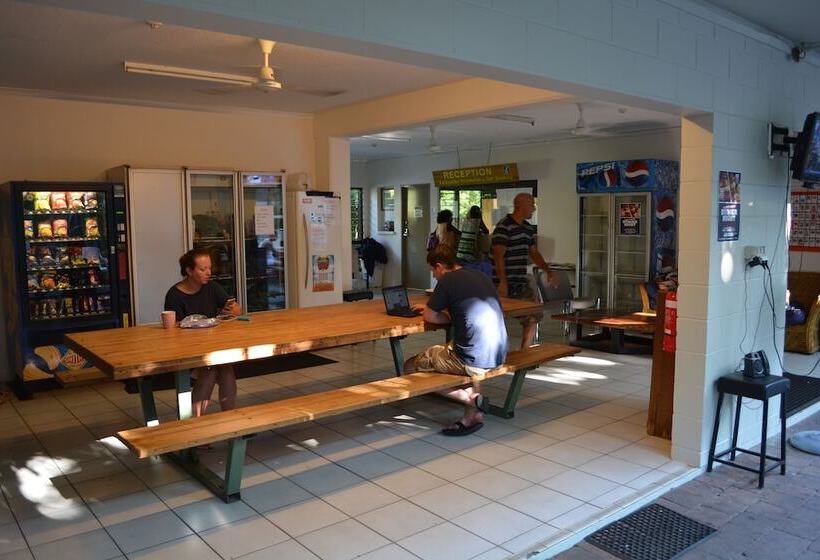 הוסטל Frogshollow Backpackers