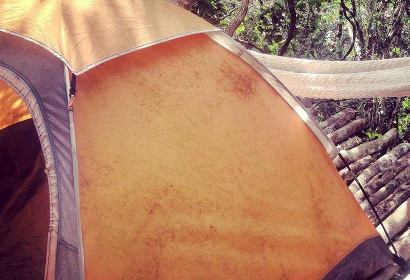 旅馆 Lemurian Embassy Eco Village Retreat