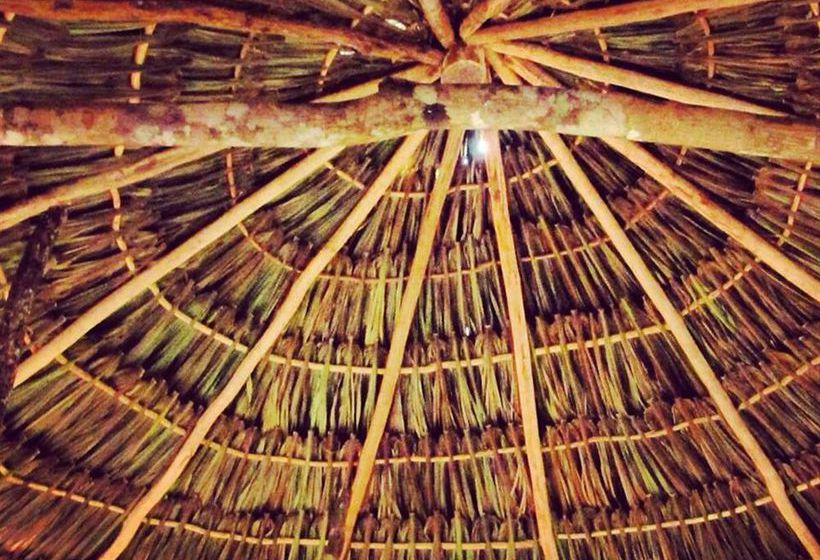 旅馆 Lemurian Embassy Eco Village Retreat