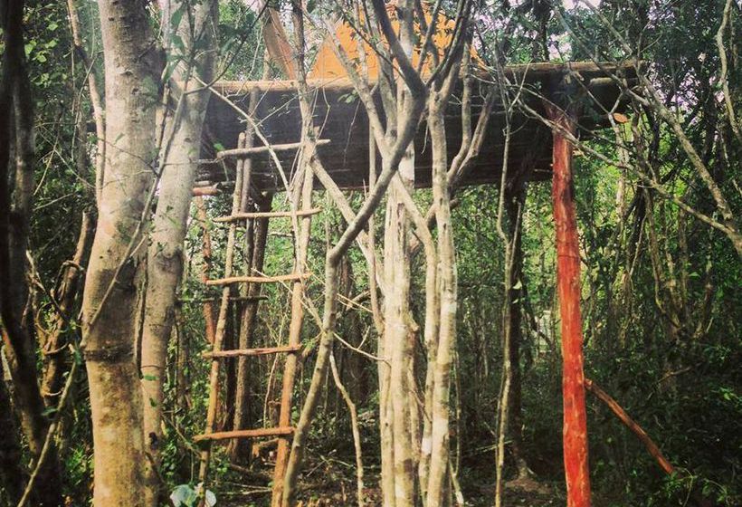 旅馆 Lemurian Embassy Eco Village Retreat