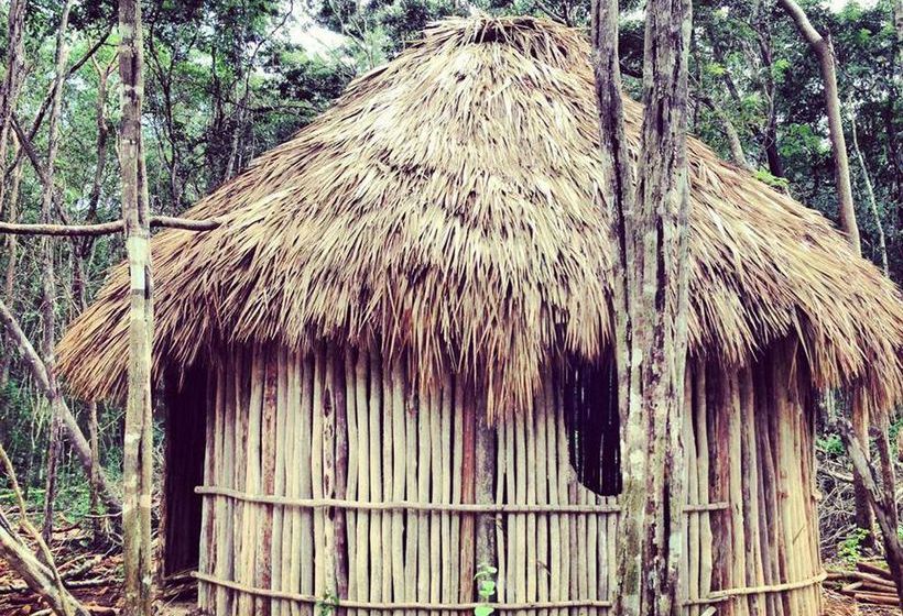 旅馆 Lemurian Embassy Eco Village Retreat