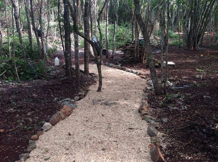 旅馆 Lemurian Embassy Eco Village Retreat