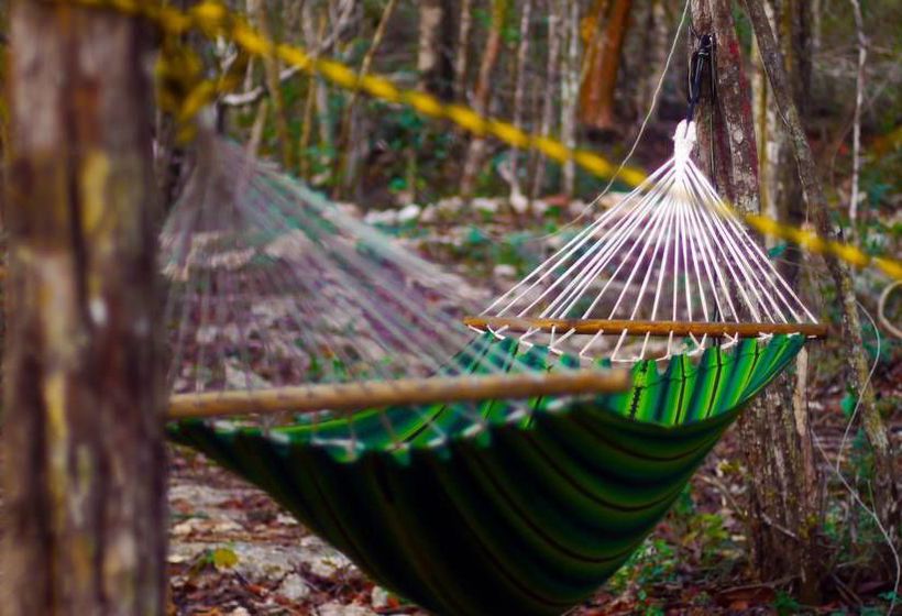 旅馆 Lemurian Embassy Eco Village Retreat