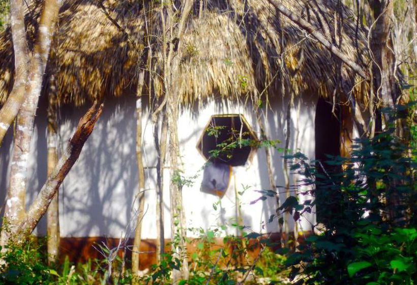 旅馆 Lemurian Embassy Eco Village Retreat