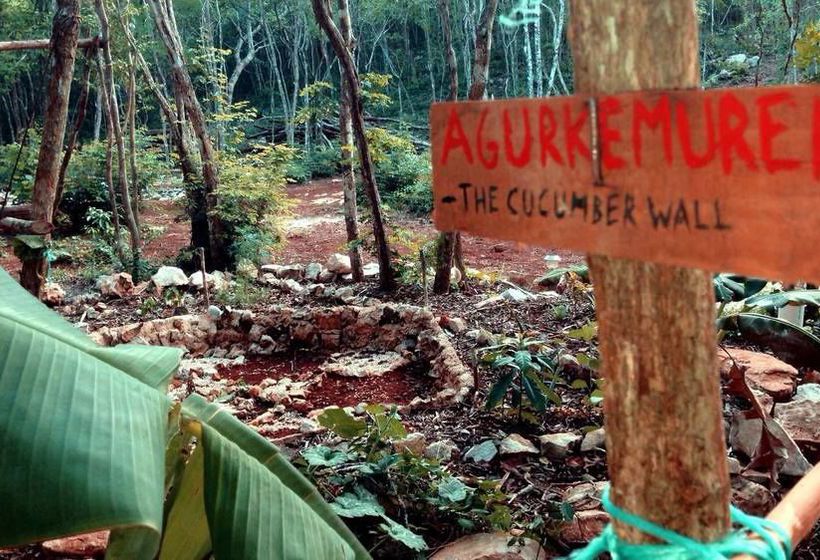 旅馆 Lemurian Embassy Eco Village Retreat