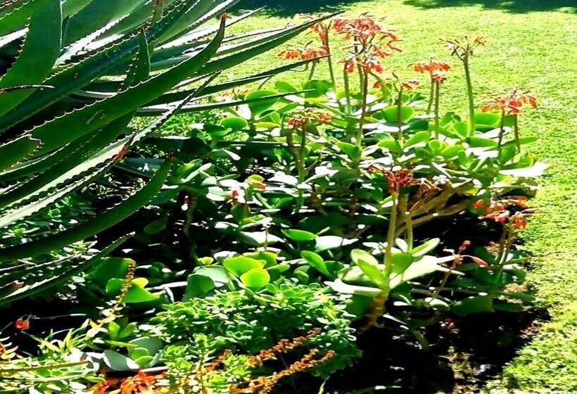 민박 De Wingerd Wijnland Lodge