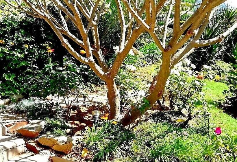 민박 De Wingerd Wijnland Lodge