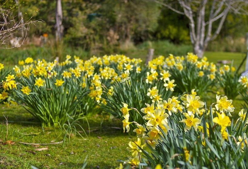 مبيت وإفطار Oyster Cove Chalet