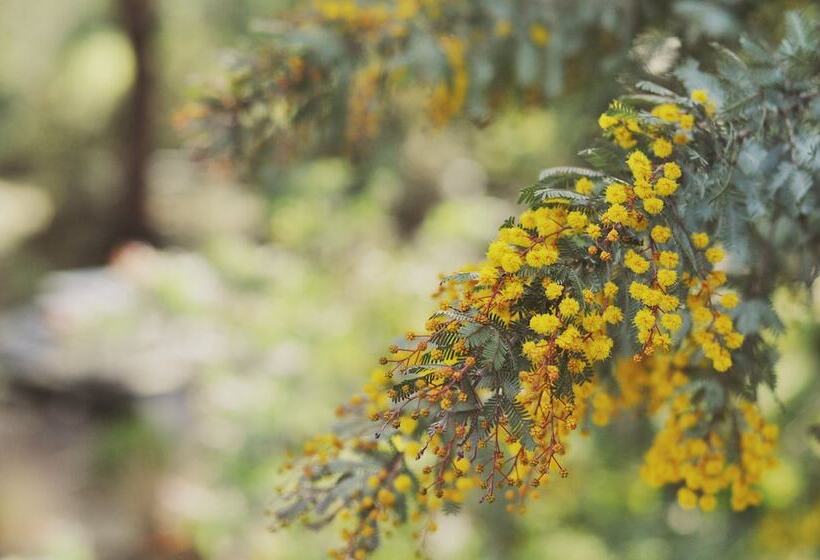 צימר Oyster Cove Chalet