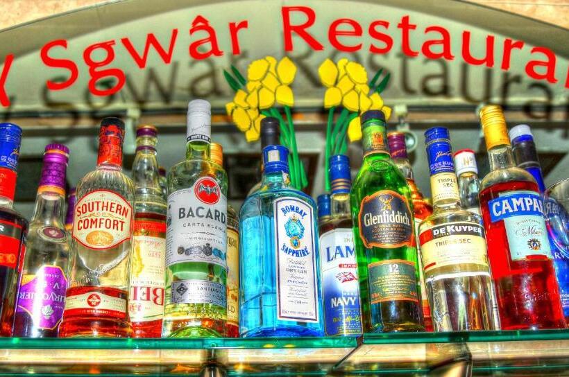 ベッドアンドブレックファースト Plas Tan Yr Allt Historic Country House & Estate