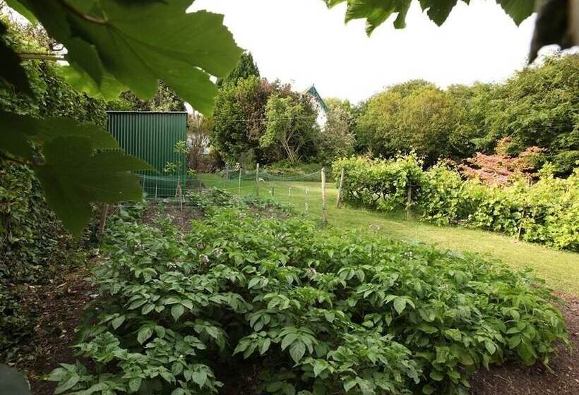 Bed and Breakfast Robin Hill House Heritage Guest House