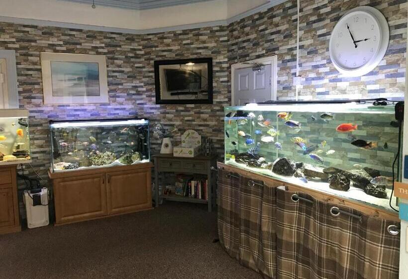 مبيت وإفطار The Craigside