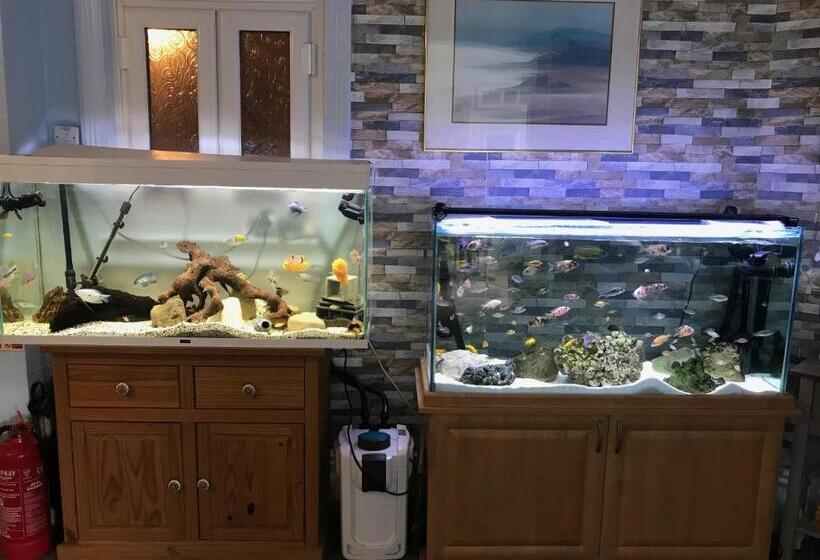 مبيت وإفطار The Craigside