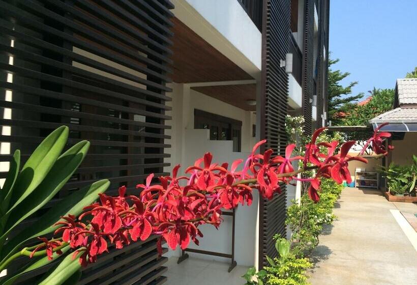 בית מלון כפרי Ampha Place