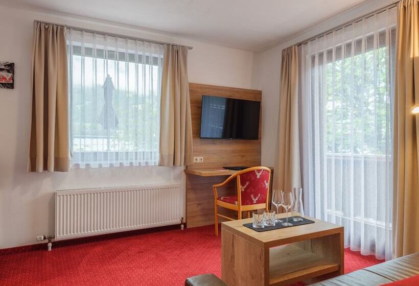 هتل Bad Hofgastein   The Storks   Adults Only   Ski Opening 29 November