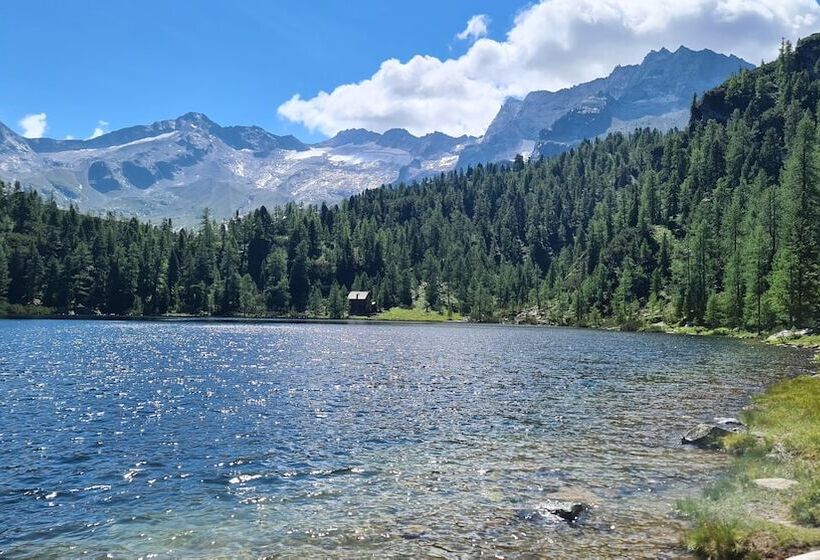 هتل Bad Hofgastein   The Storks   Adults Only   Ski Opening 29 November