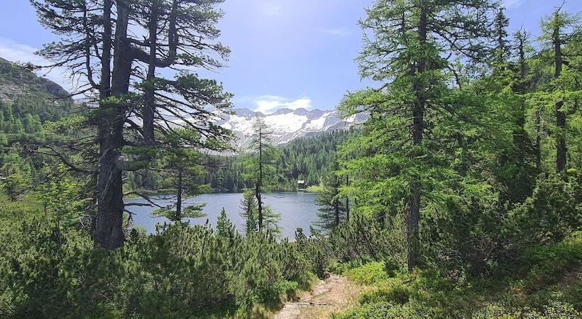 هتل Bad Hofgastein   The Storks   Adults Only   Ski Opening 29 November