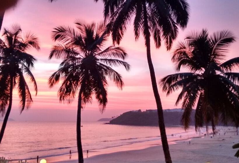 酒店 Beach Bay Cottages