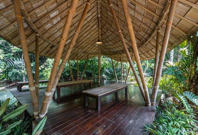 Blu Monkey Pooltara Krabi Hotel & Villas Pet Friendly