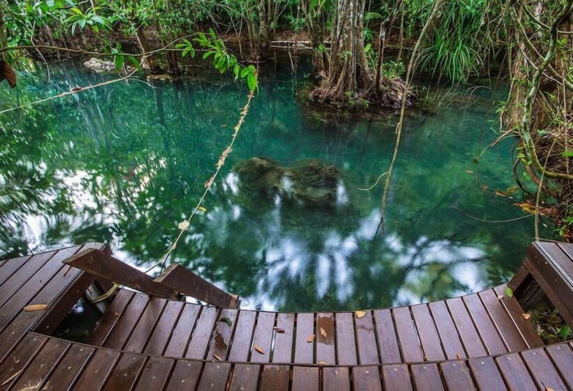 Blu Monkey Pooltara Krabi Hotel & Villas Pet Friendly