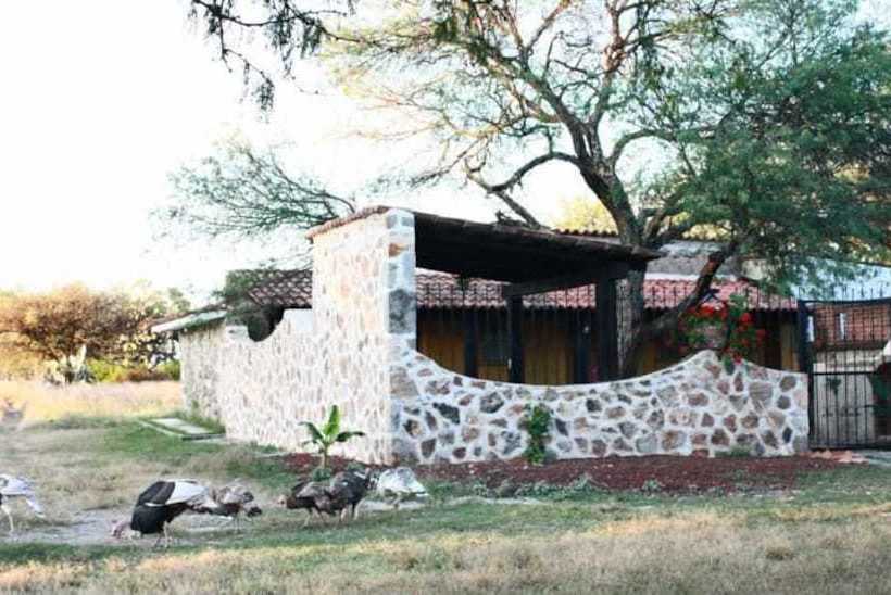 Cabaña Geranios Tequisquiapan