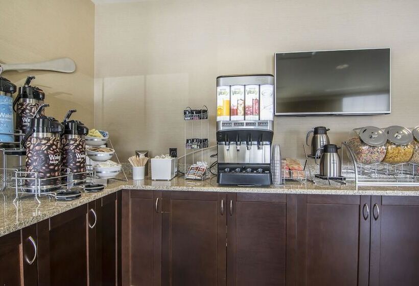 בית מלון כפרי Comfort Suites Regina