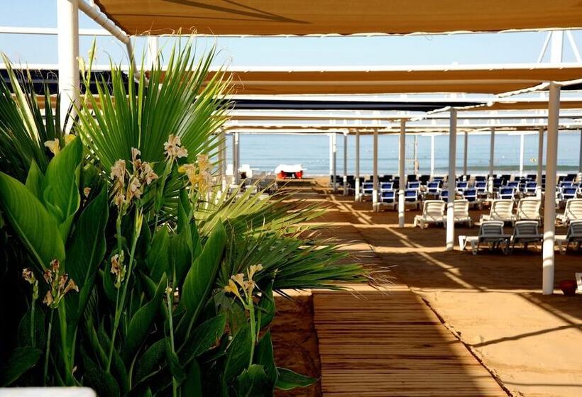 Отель Dream World Hill