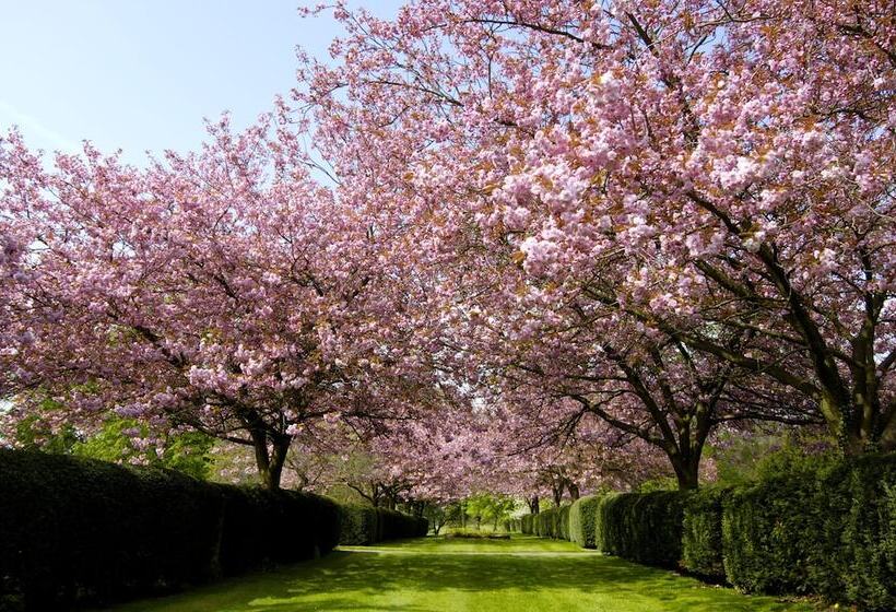 Hotel Hazlewood Castle & Spa