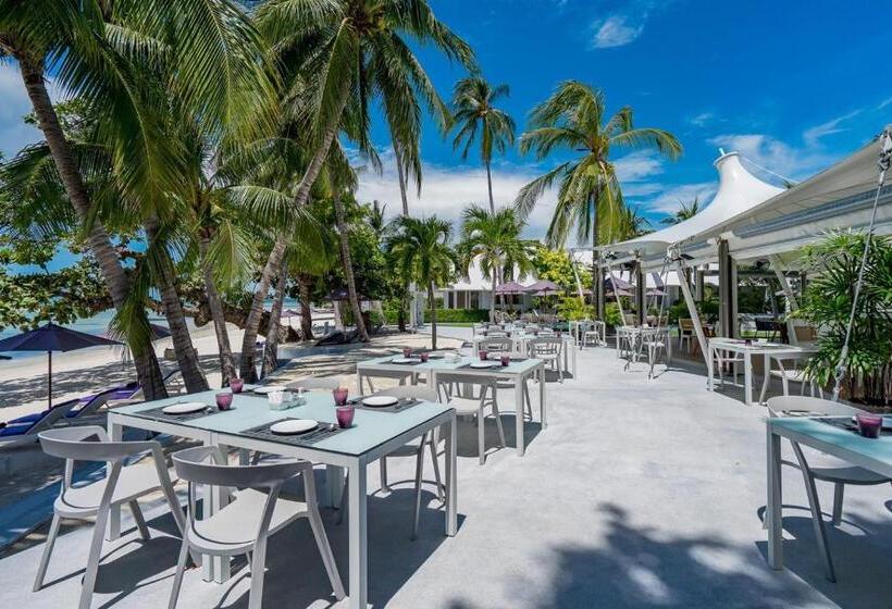 호텔 La Vida Samui