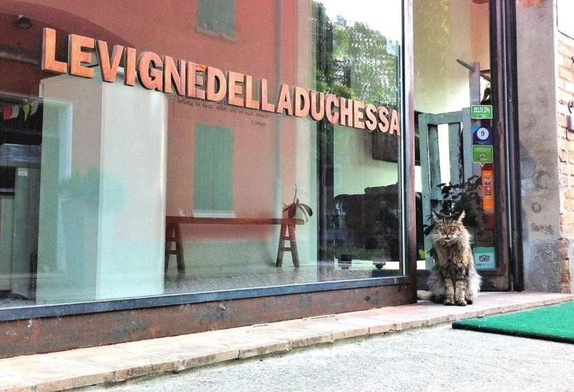 فندق Le Vigne Della Duchessa Country Resort