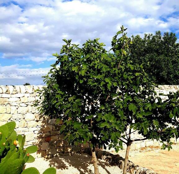 هتل Masseria Cianciò