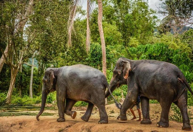 酒店 Mm House Samui