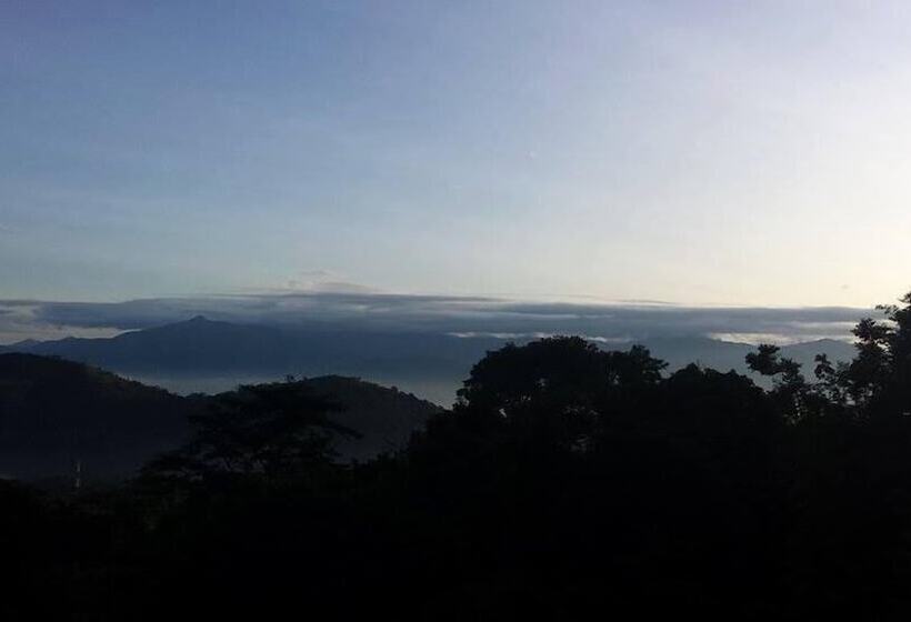 Отель The Mount Royal