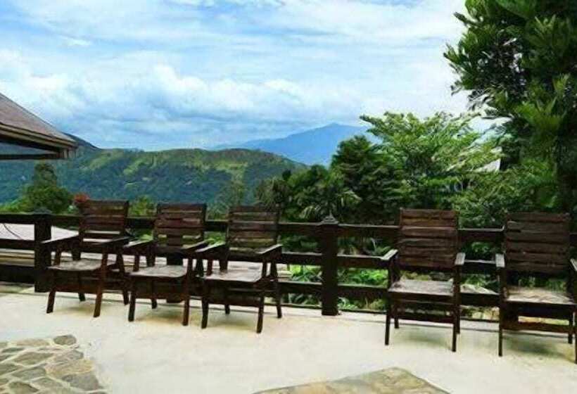 Отель The Mount Royal